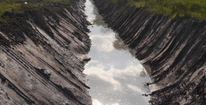 Desaparición de Cecilia: hallaron huesos y un dije en un río cercano a la chanchería de Emerenciano Sena